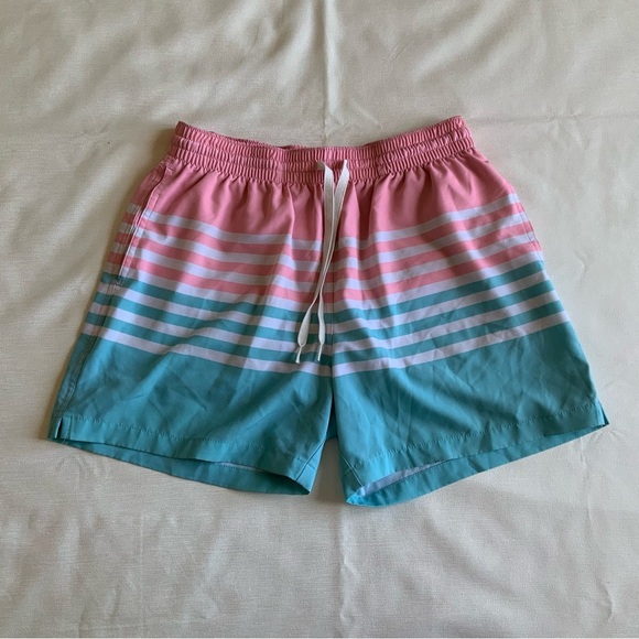Chubbies Pink and Blue Striped Athletic Shorts - Picture 1 of 8